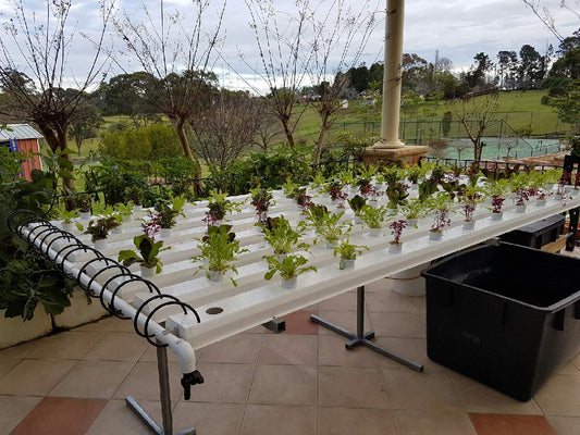 2m Home Kit Full Set