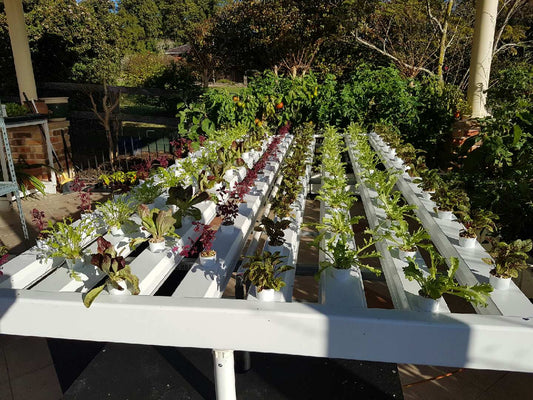 4m Home Kit Full Set